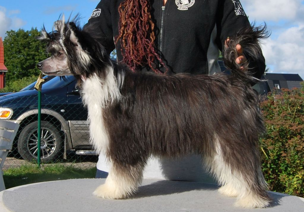 Picture