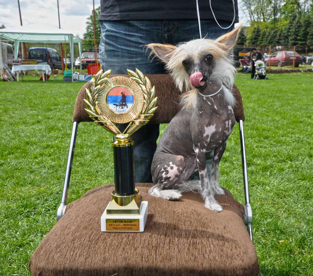 Aliena Mala Utile Exemplum