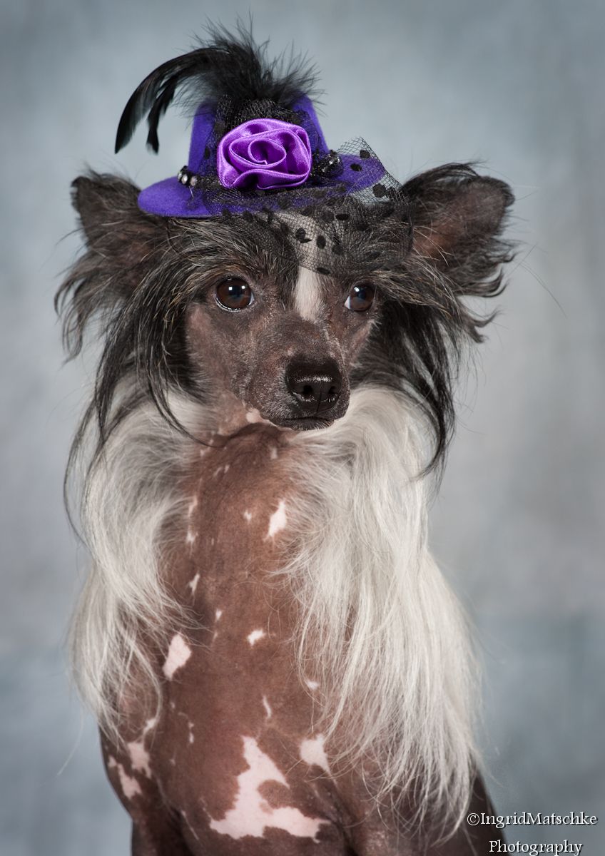 Xioma Butterfly Effect