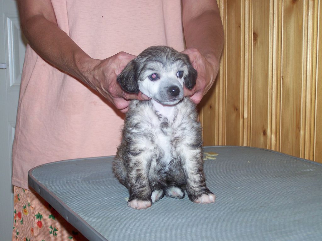 Kaunisvirran Robinson Crusoe