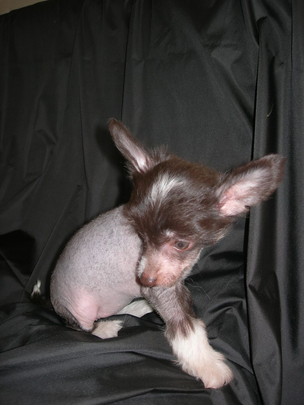 Rovanni Djekattolo Julie