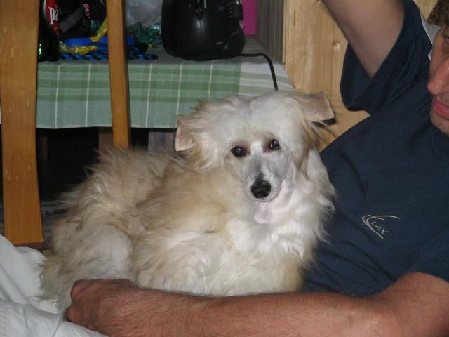 Gray ze Zatopené chajdy