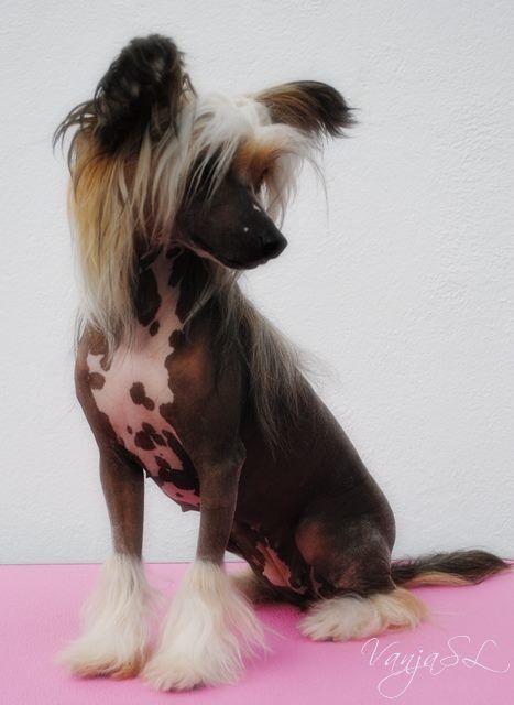 Blendverk's Cherry Chap Stick