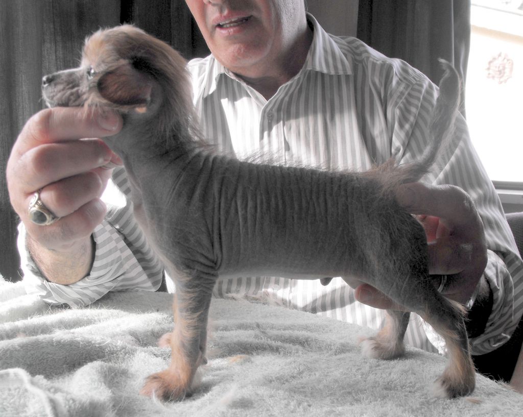 Tereiroa Haere Petipeti