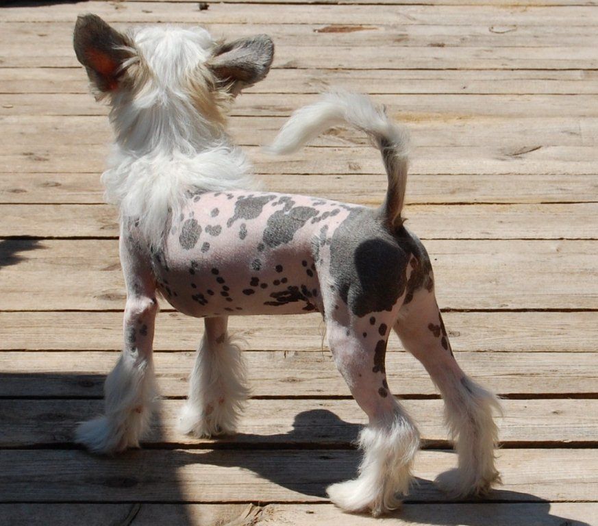 Picture
