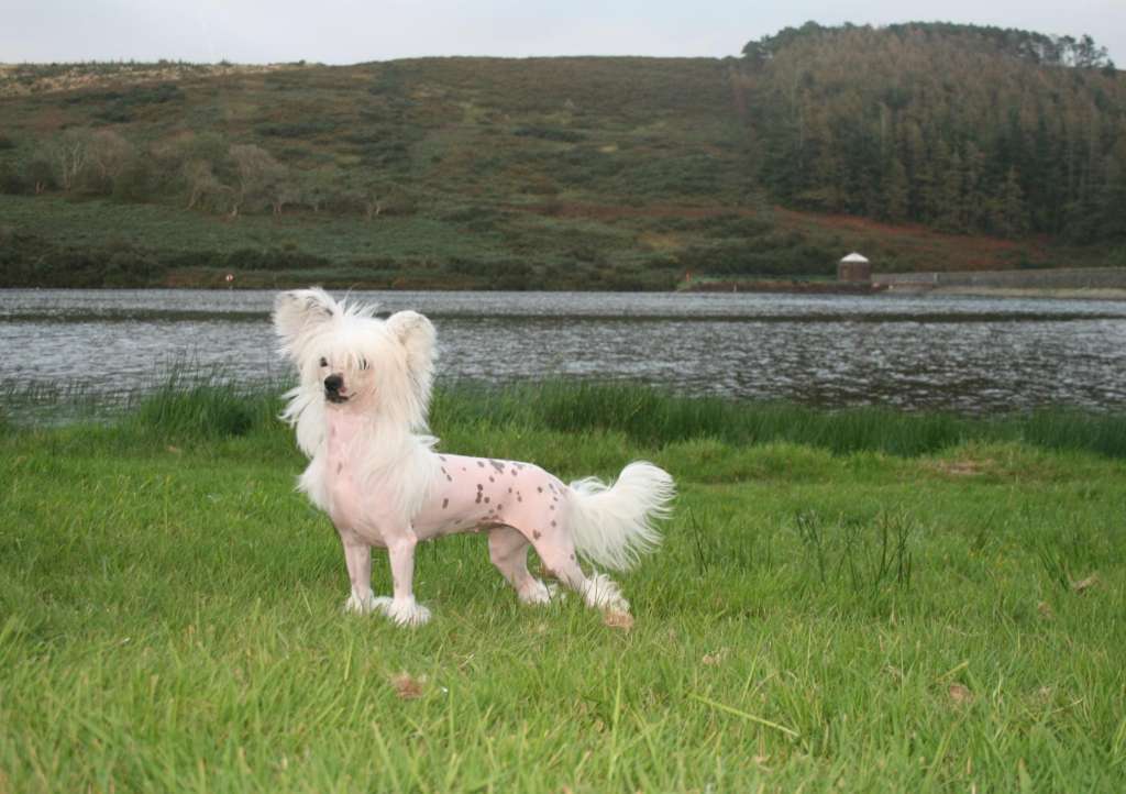 Jean Dark Sunshine In The Rain over Ynchreenoo