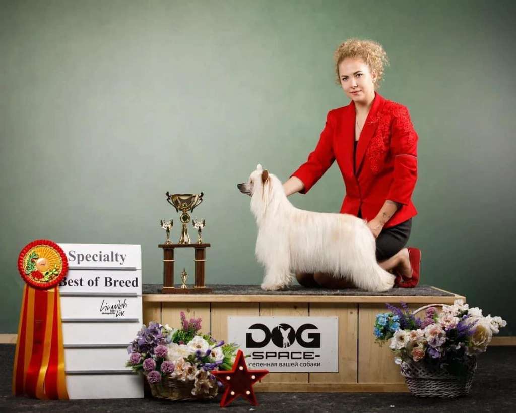 Rolana Family Adel (puff)