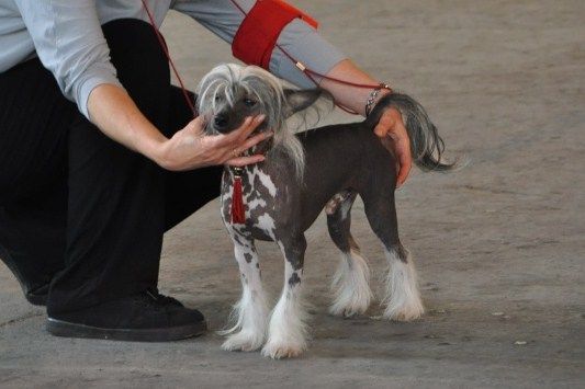 Dé Libéré Du Doux Mystère