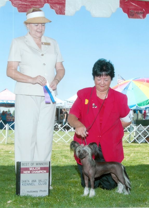 Twice as Nice Kiss Kiss Bang Bang