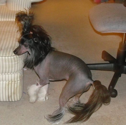 Jewels Got What You Want