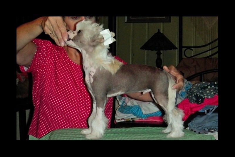 Heluja Believe To Be en Rogue