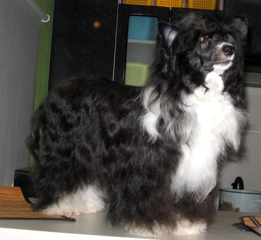 Picture