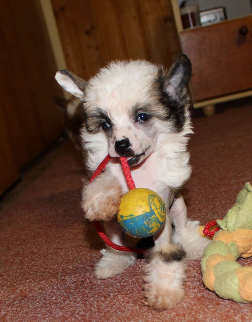 Picture