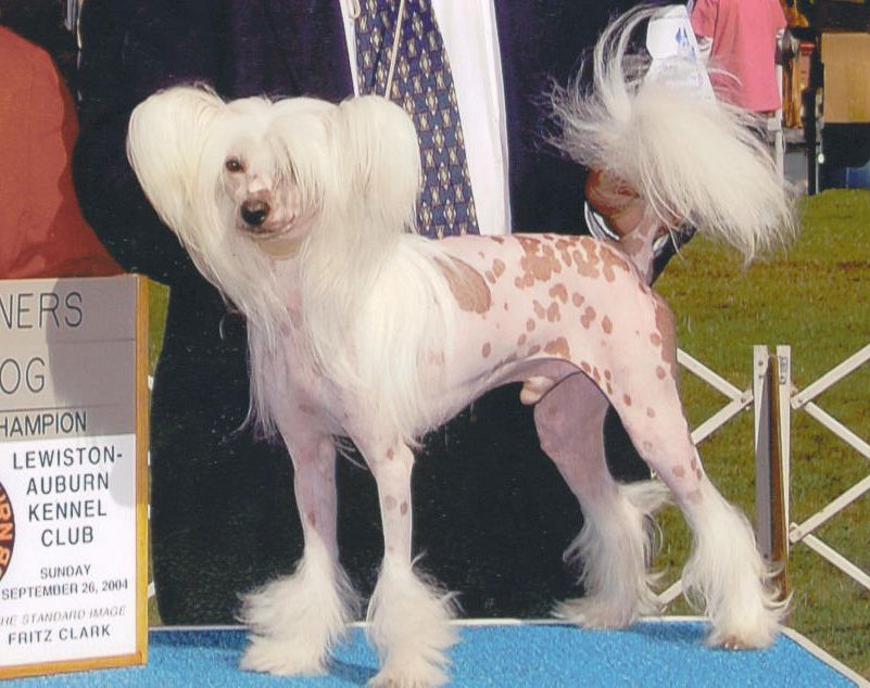 Mstical Ke-Don Dyn-O-Mite 