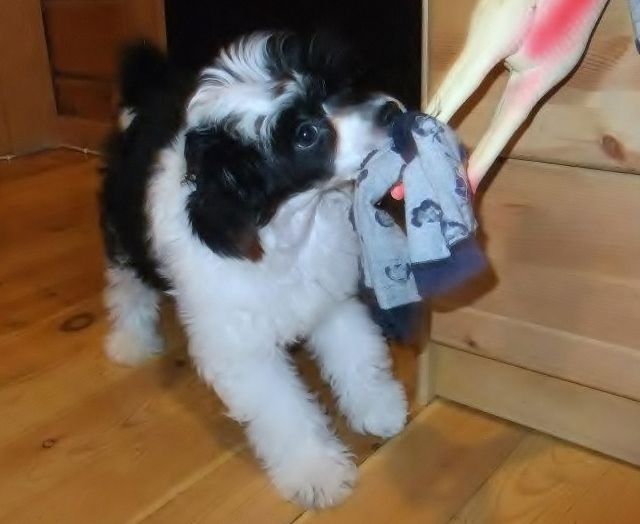 Hundred Acres Prince Of Darkness