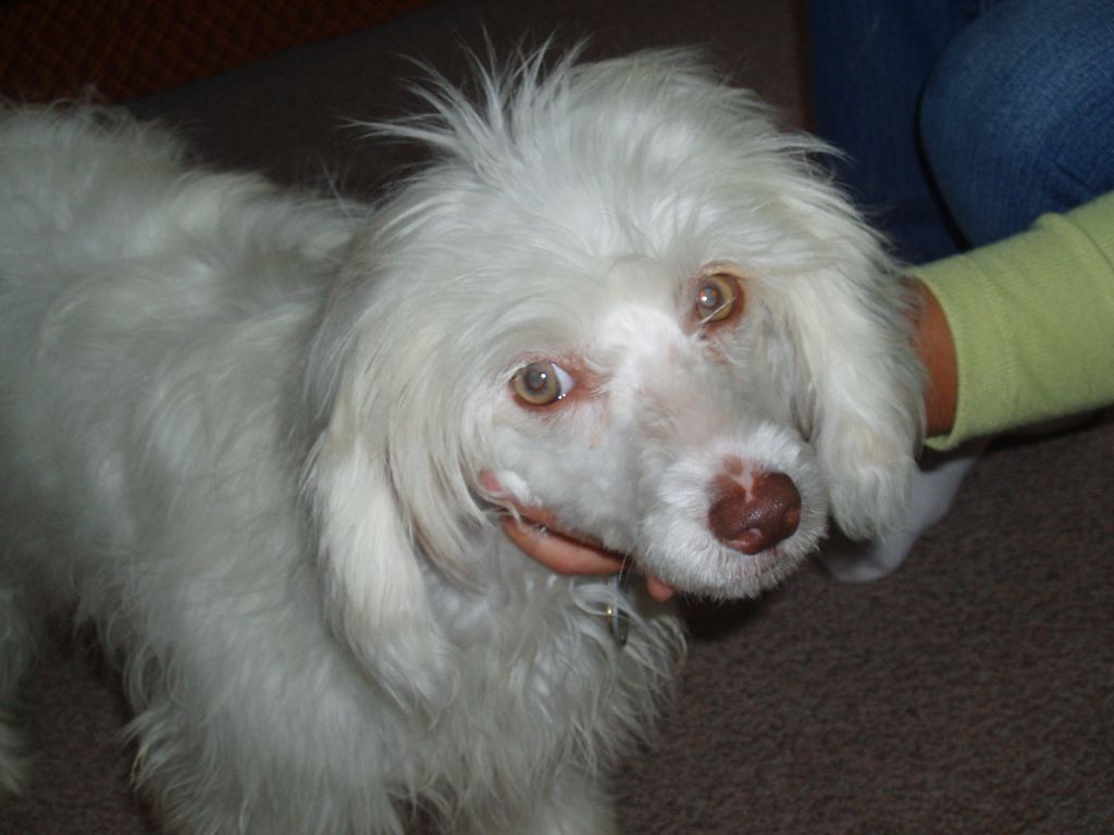 Crystal Powder od Chlpiku