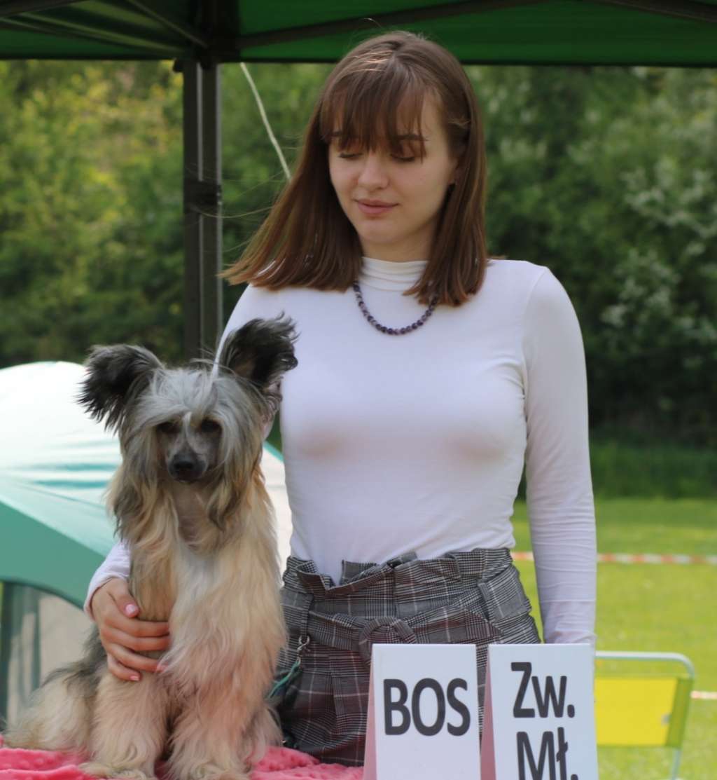 Alvaro Ciche Marzenia(FCI)