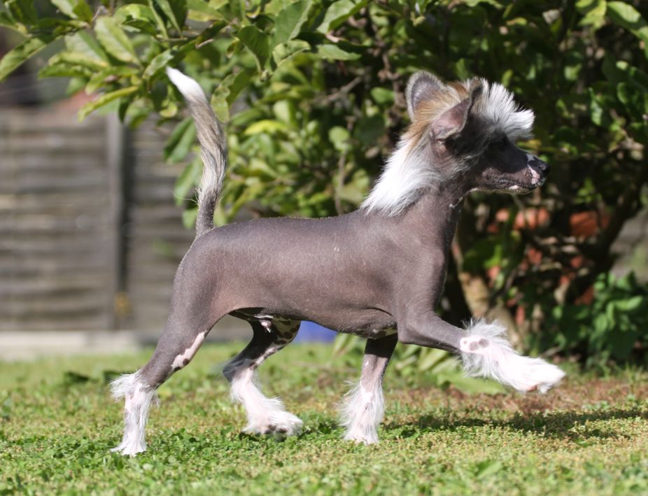 Enjoy the Silence Quickly in Love