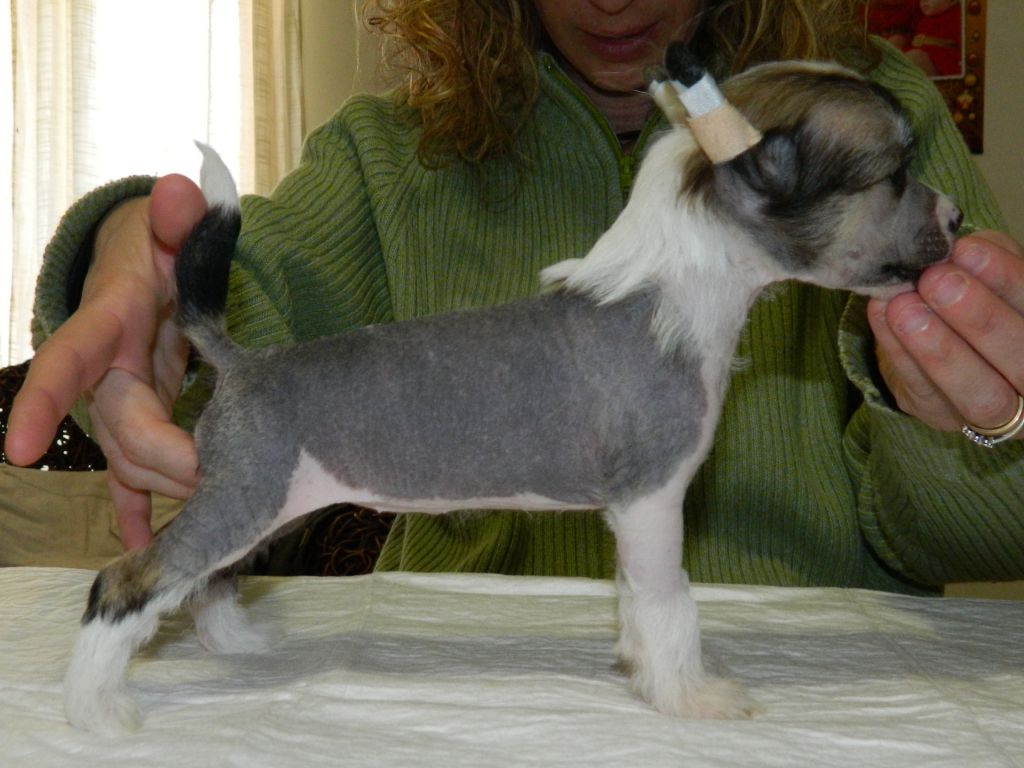 Hel Dea degli Inferi Di Casa Megi