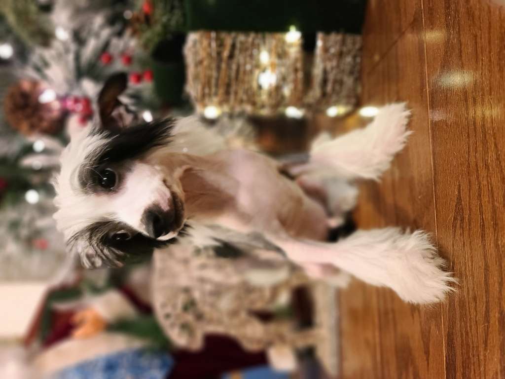 Long Haul's Man On the Moon