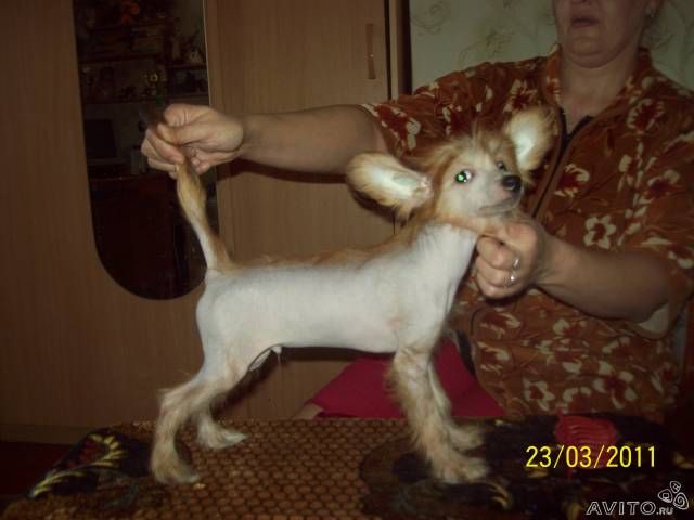 Picture