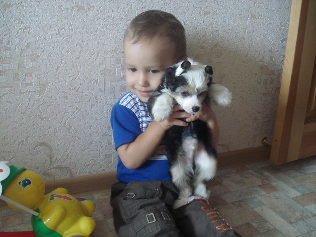 Picture