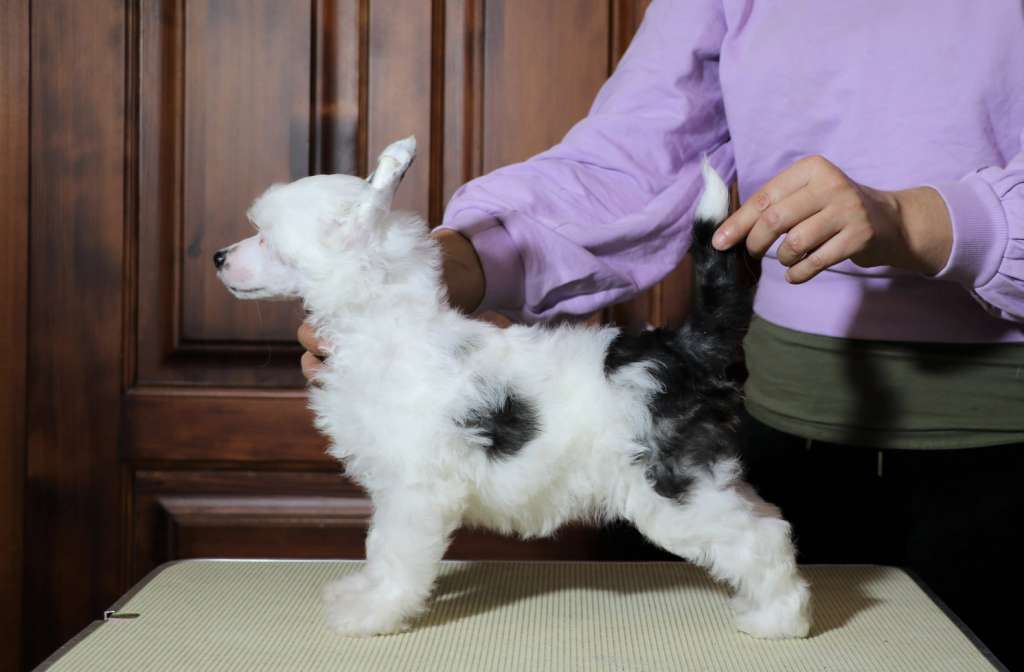 Jeannie in the bottle z Valdorfskych lesu