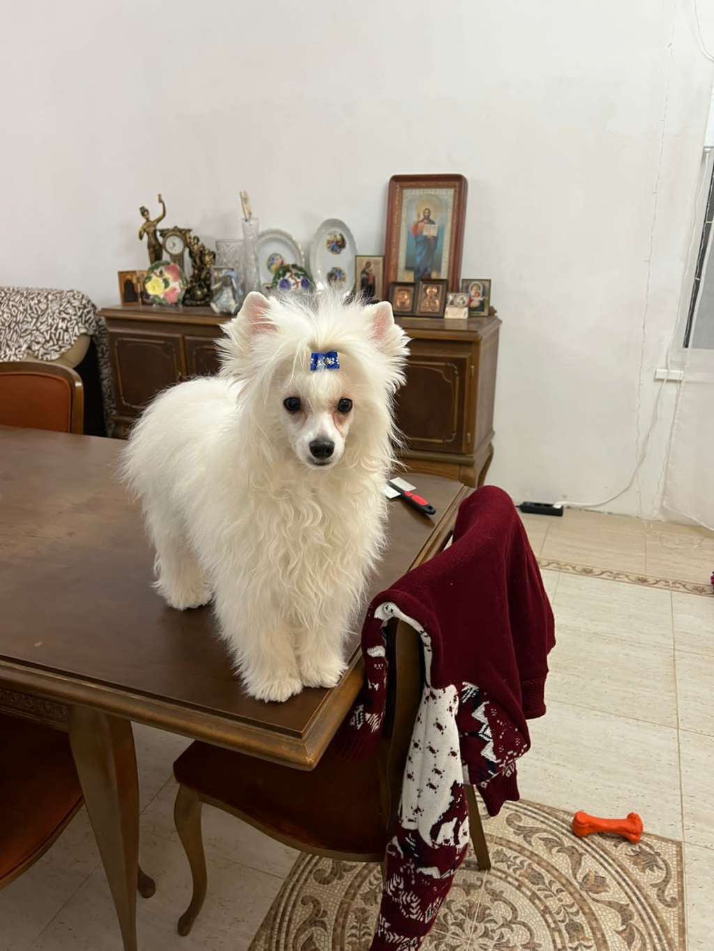 Mashama Mazi Rus Eerste Leo