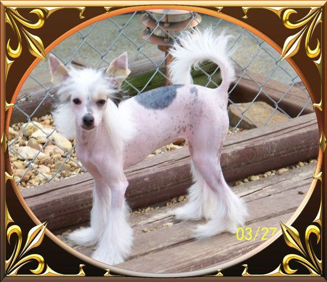 Lakeside's Pint Size La Te Da (teala)