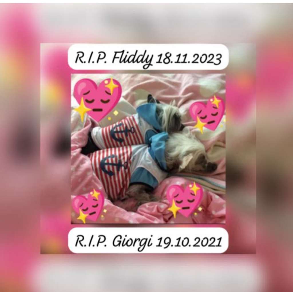 Treasure Guardians "Heart Breaker"