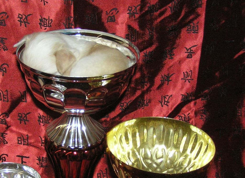 Vivat Sanraiz Ami Rus Foreva