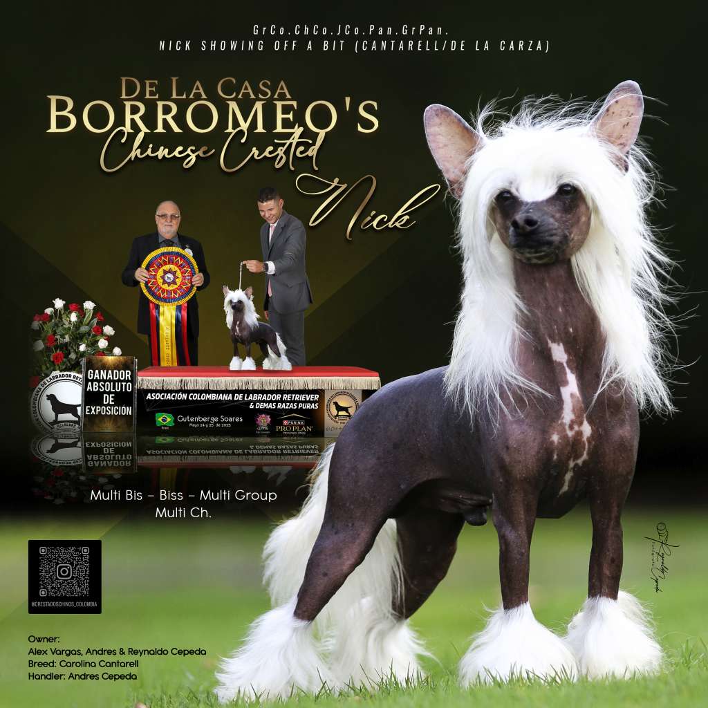 Nick Showing Of A Bit (Cantarell/De la Garza)