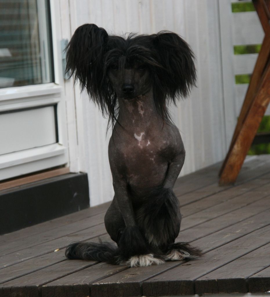 Nordlysbyen's Benayoun