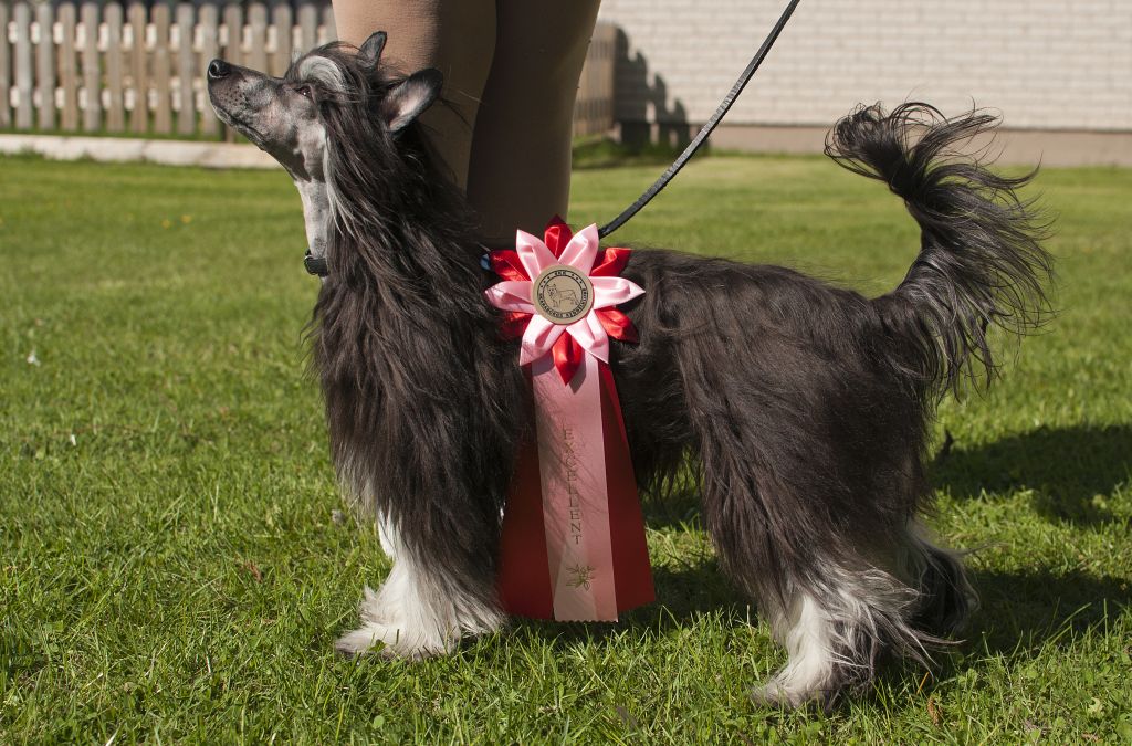 Trollmyren's Qaramell