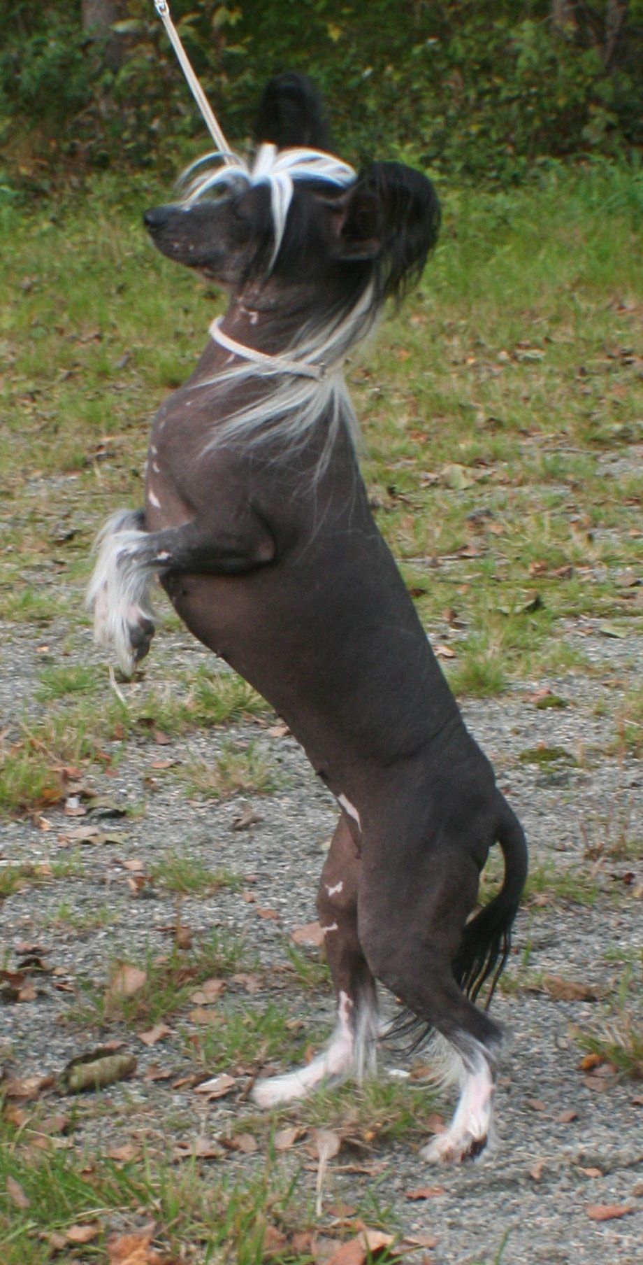 Picture