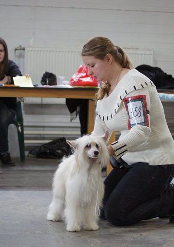 Hohlatiy glamour Benedetta Givenchy