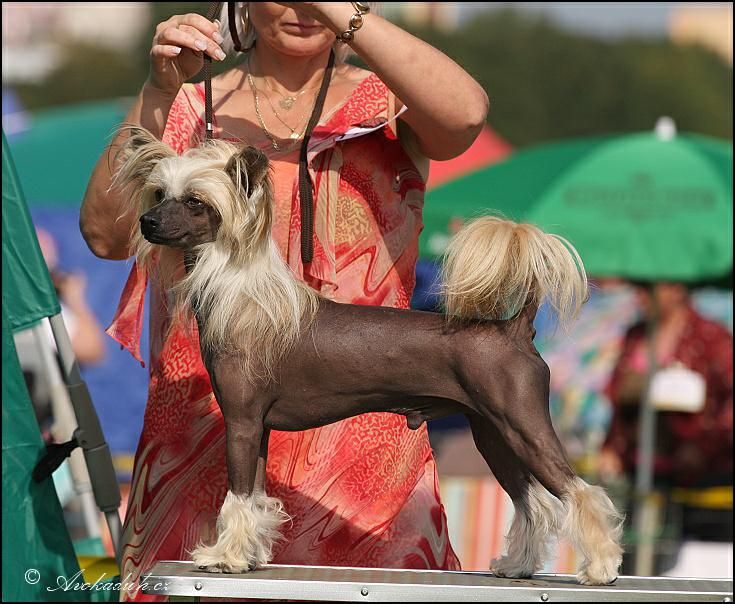 Solino's On The Rocks