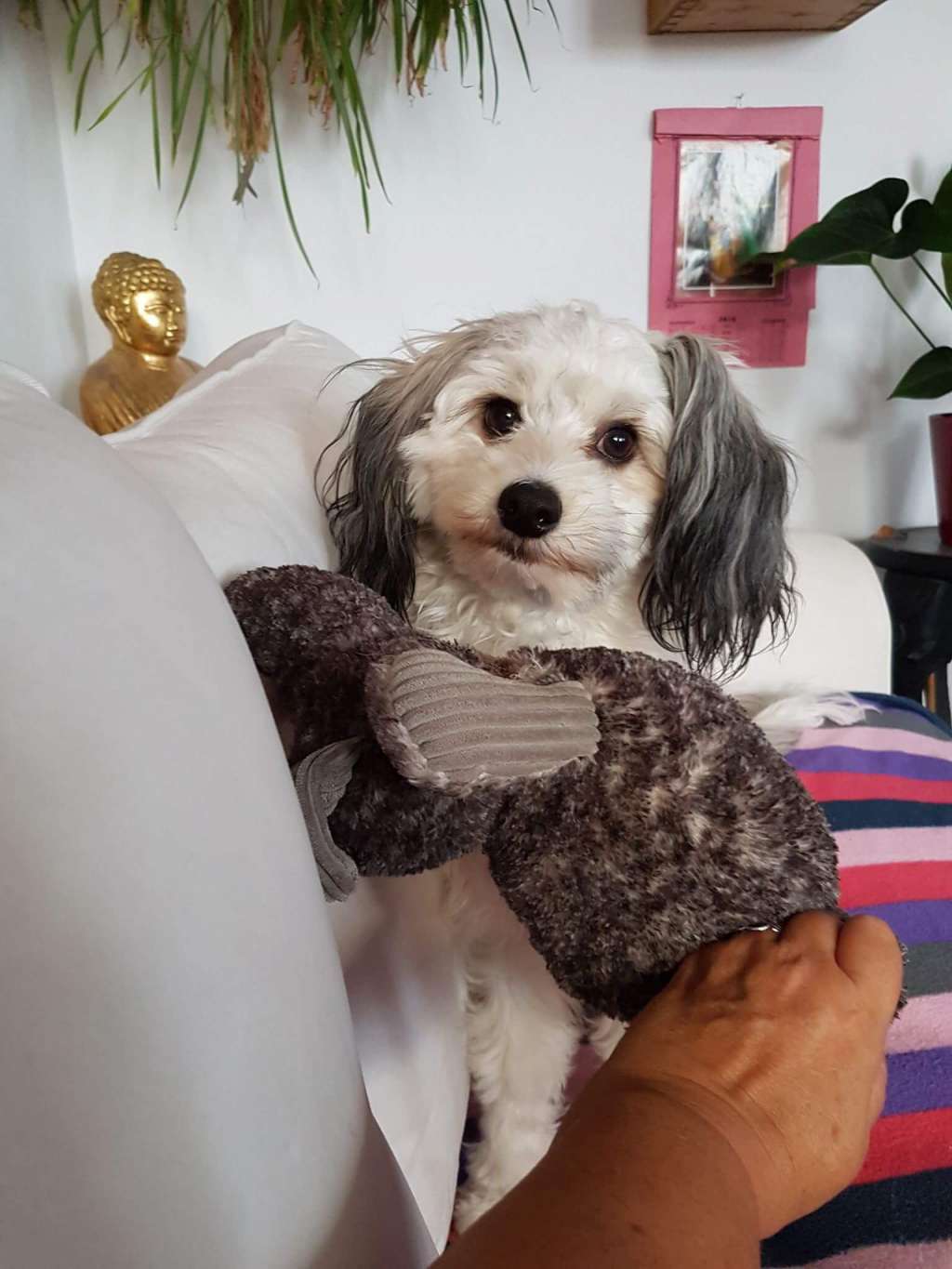 Maximilla's Check Point