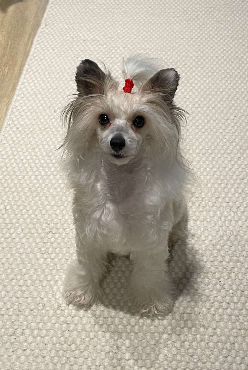 Viavrois Emotional Empress