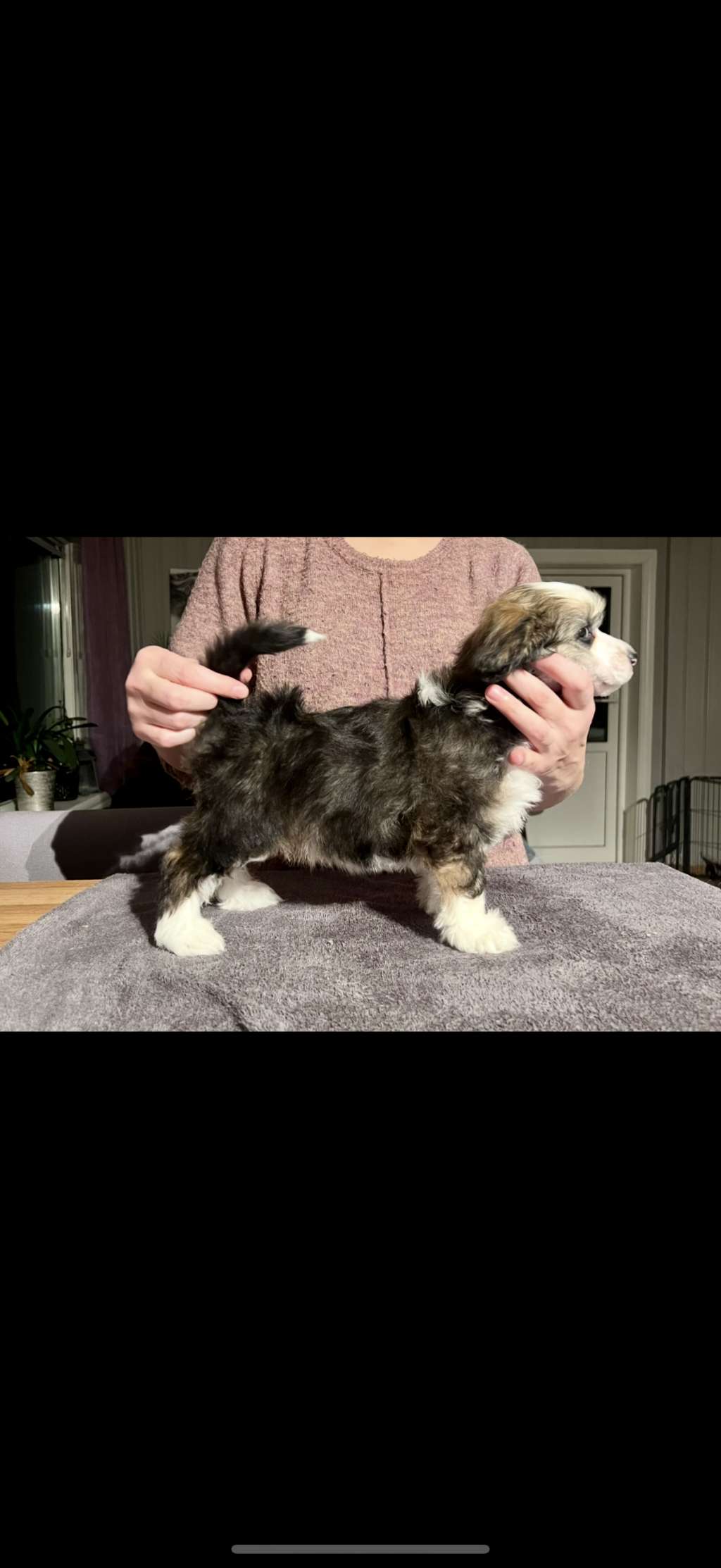 Rock Away Your Teardrops