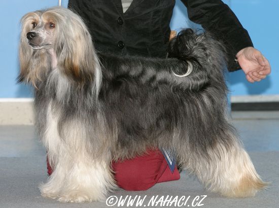 Baltasar Ze Zatopené Chajdy