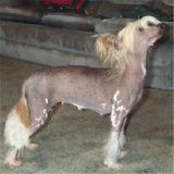 Blandora What A Cracker