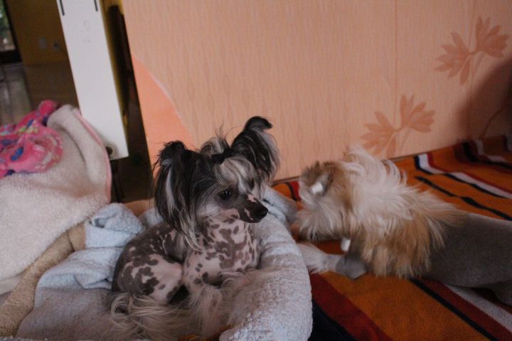 Picture
