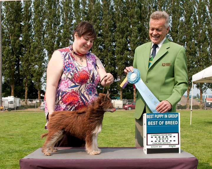 Raven's Earth Oracle