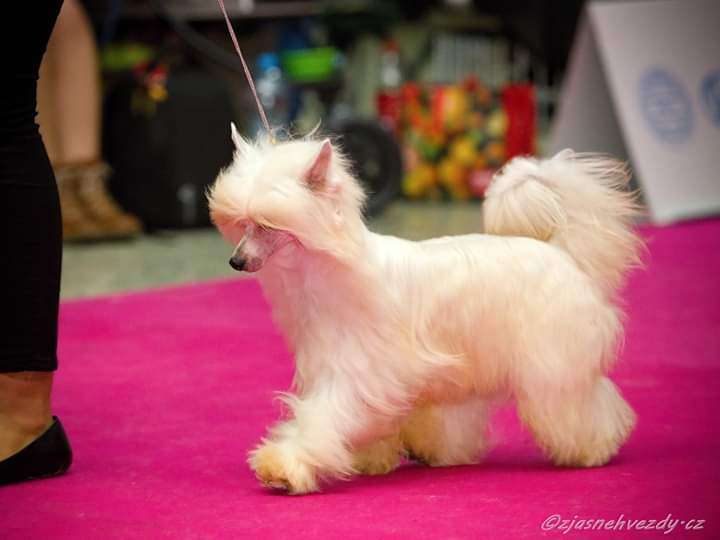 Listen To Your Heart Heybett