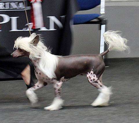 Solino's Holly Hunter