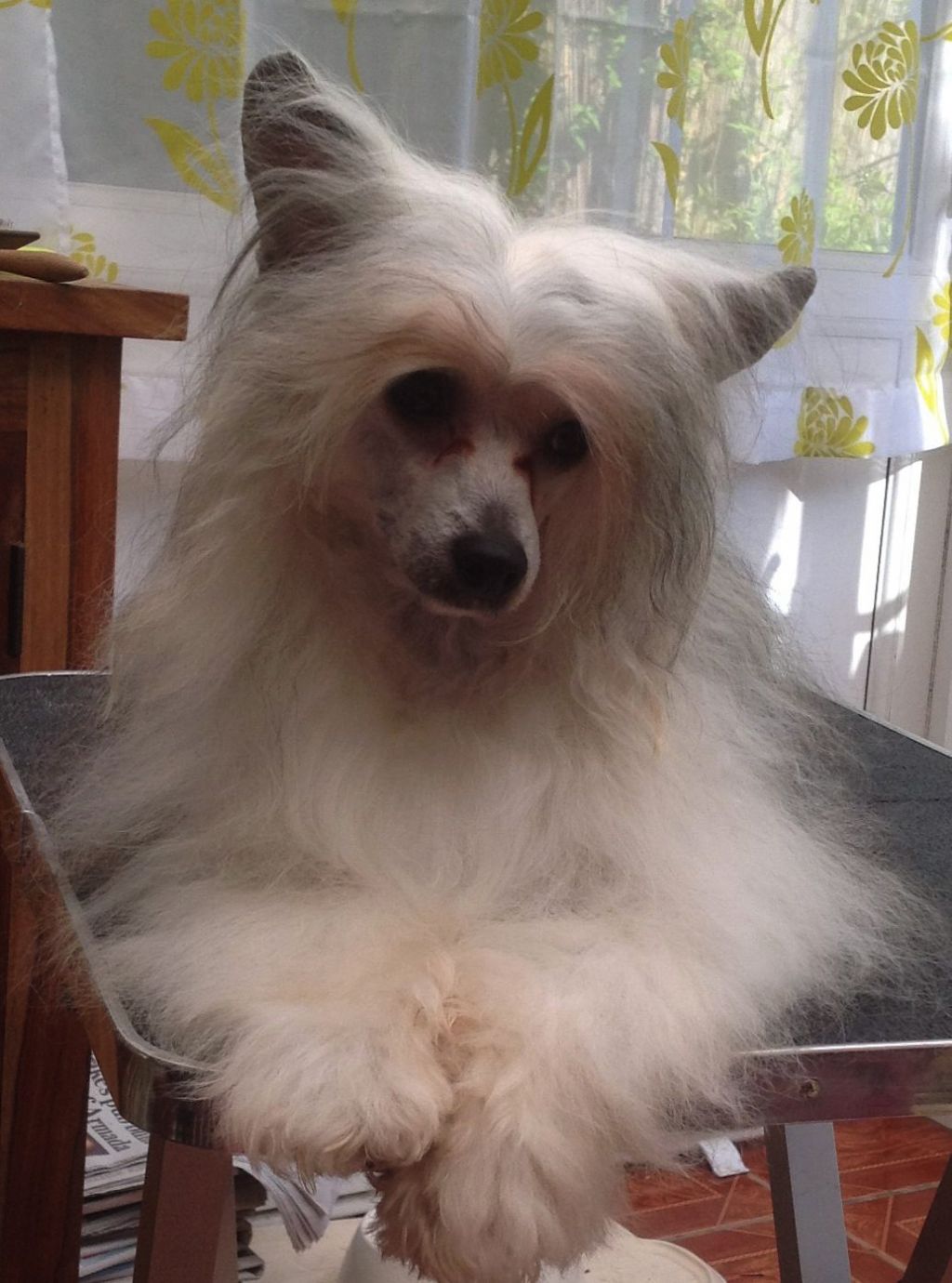 Oolagha Extreme In Cream