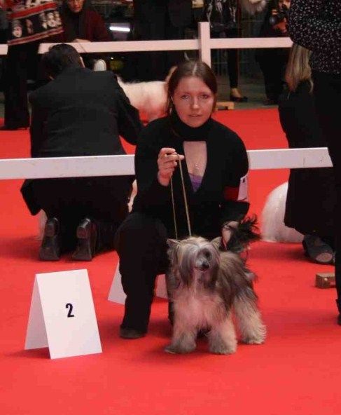 Picture