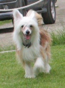 Reject's Three Times A Cool Guy