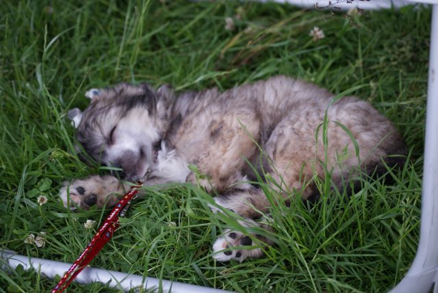 Yunao's Damira Carin